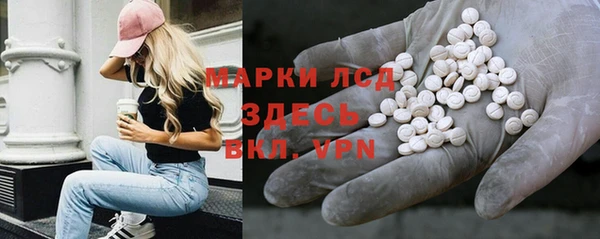 хмурый Алзамай