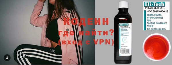 хмурый Алзамай