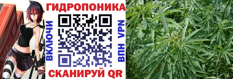 Шишки марихуана конопля  Тогучин 